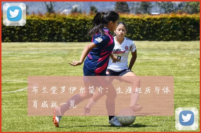 布兰登罗伊尔简介：生涯经历与体育成就一览