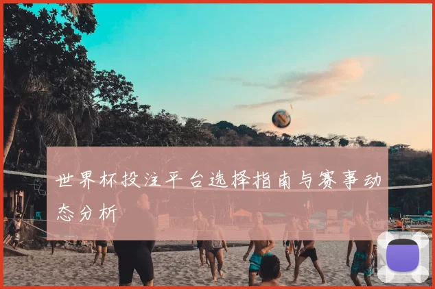 世界杯投注平台选择指南与赛事动态分析