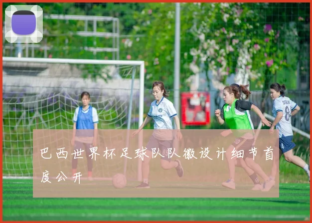 巴西世界杯足球队队徽设计细节首度公开